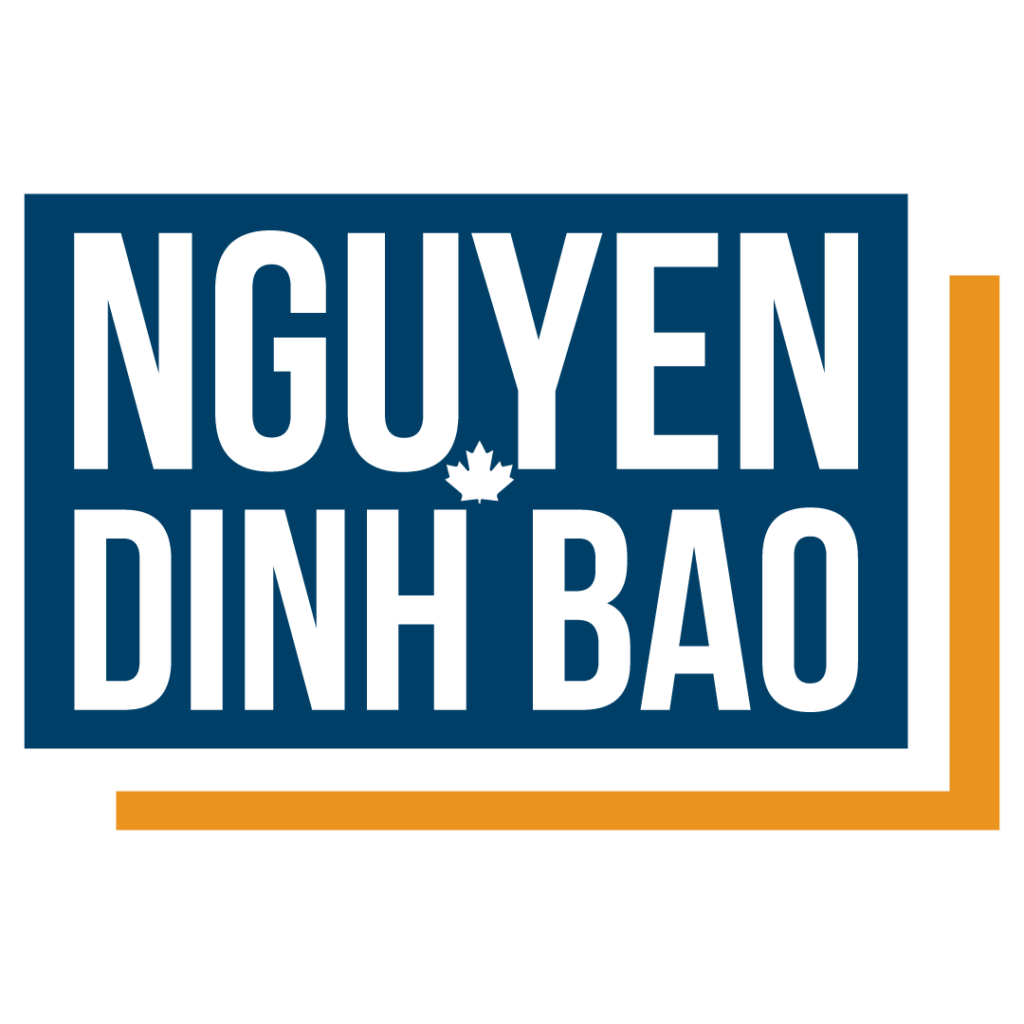 Nguyen Dinh Bao, Management Consultant